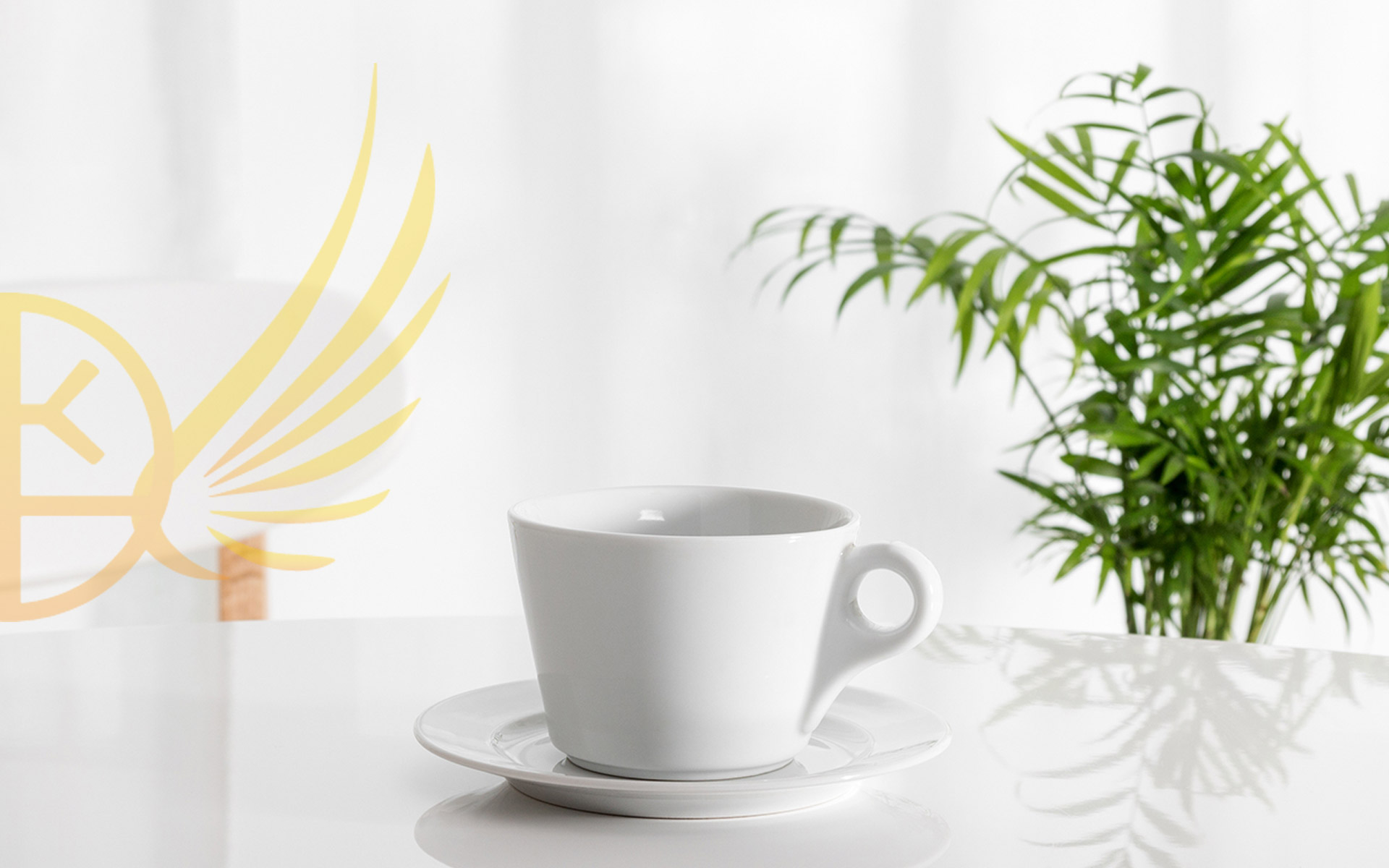 Team Development Workshops